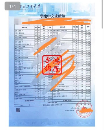 西北工业大学本科中英文成绩单打印案例