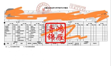 安徽中医药高等专科学校中文成绩单打印案例