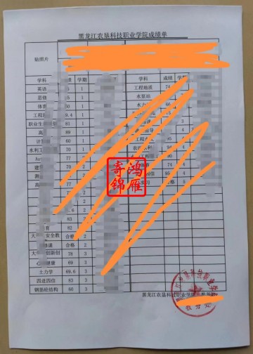 黑龙江农垦科技职业学院中文成绩单打印案例