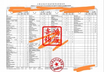 上海立信会计金融学院出国留学中英文成绩单打印案例