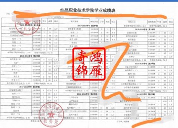 汕尾职业技术学院中文成绩单打印案例