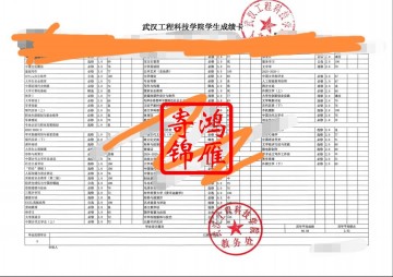 武汉工程科技学院中文成绩单打印案例