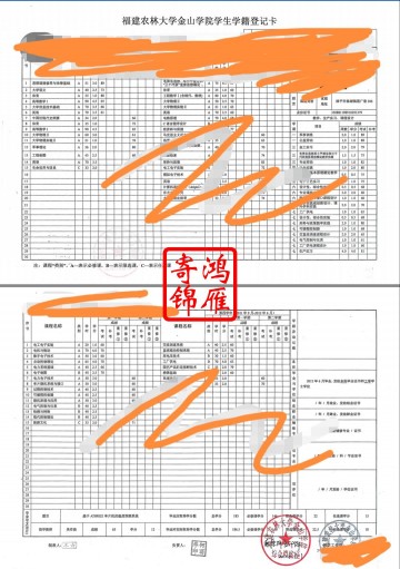 福建农林大学金山学院中文成绩单打印案例
