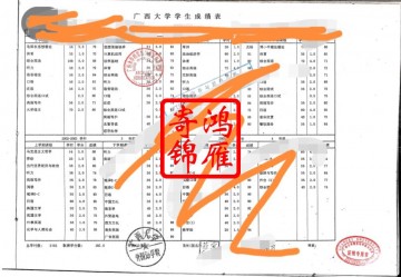 广西大学中文成绩单打印案例