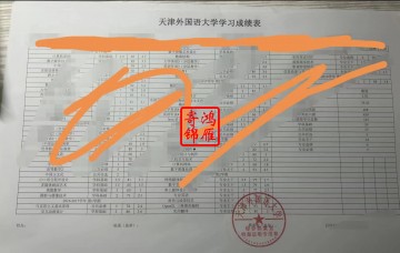 天津外国语大学本科中英文成绩单打印案例