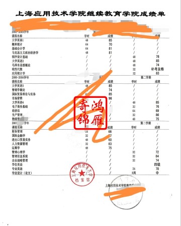 上海应用技术大学中文成绩单打印案例