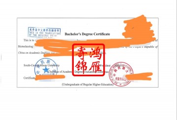 中南民族大学出国留学英文学位证明打印盖章案例