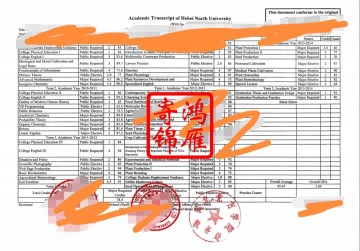 河北北方学院出国留学中英文成绩单打印案例