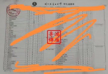 哈尔滨商业大学中文成绩单打印案例