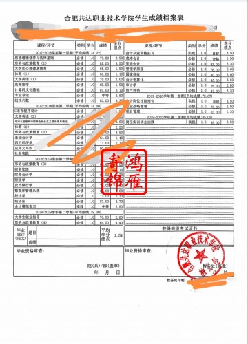 合肥共达职业技术学院中文成绩单打印案例