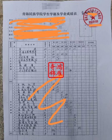 青海民族学院即青海民族大学出国中文成绩单打印案例