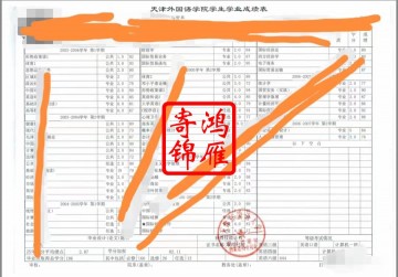 天津外国语学院本科中文成绩单打印案例
